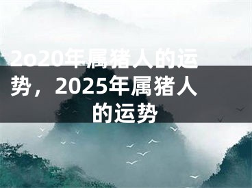 2o20年属猪人的运势，2025年属猪人的运势