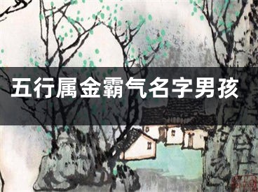 五行属金霸气名字男孩