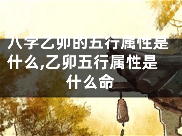 八字乙卯的五行属性是什么,乙卯五行属性是什么命