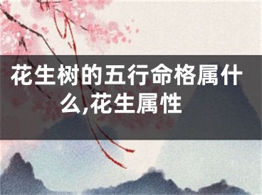 花生树的五行命格属什么,花生属性