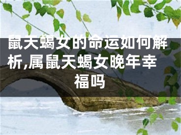 鼠天蝎女的命运如何解析,属鼠天蝎女晚年幸福吗