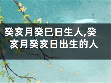 癸亥月癸巳日生人,癸亥月癸亥日出生的人