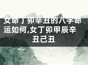 女命丁卯辛丑的八字命运如何,女丁卯甲辰辛丑己丑