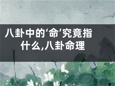 八卦中的‘命’究竟指什么,八卦命理