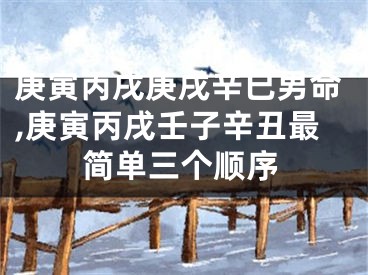 庚寅丙戌庚戌辛巳男命,庚寅丙戌壬子辛丑最简单三个顺序