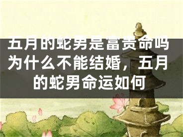 五月的蛇男是富贵命吗为什么不能结婚，五月的蛇男命运如何