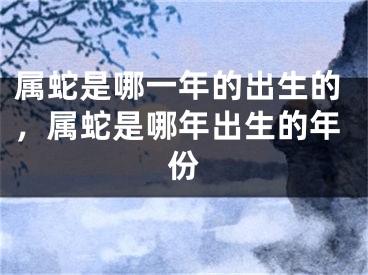 属蛇是哪一年的出生的，属蛇是哪年出生的年份