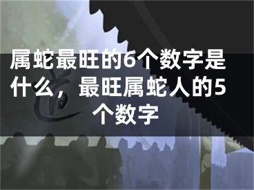 属蛇最旺的6个数字是什么，最旺属蛇人的5个数字