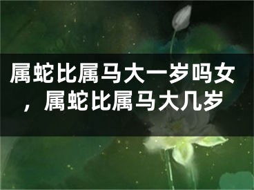 属蛇比属马大一岁吗女，属蛇比属马大几岁