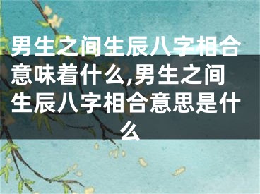 男生之间生辰八字相合意味着什么,男生之间生辰八字相合意思是什么