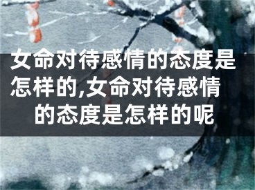 女命对待感情的态度是怎样的,女命对待感情的态度是怎样的呢