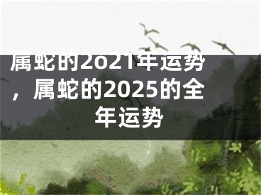 属蛇的2o21年运势,属蛇的2025的全年运势