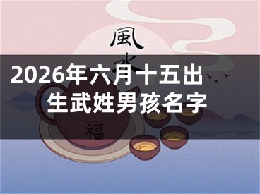 2026年六月十五出生武姓男孩名字