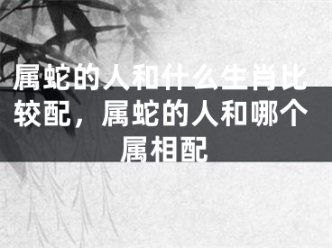 属蛇的人和什么生肖比较配，属蛇的人和哪个属相配