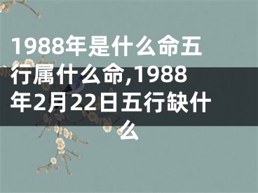 1988年是什么命五行属什么命,1988年2月22日五行缺什么