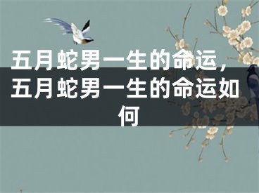 五月蛇男一生的命运，五月蛇男一生的命运如何