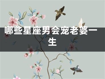 哪些星座男会宠老婆一生