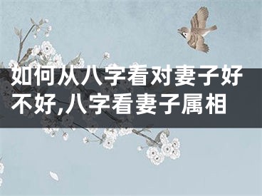如何从八字看对妻子好不好,八字看妻子属相