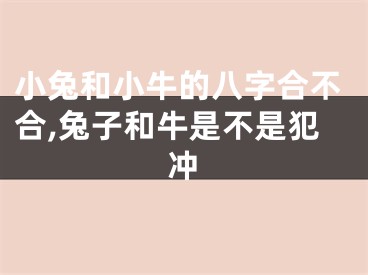 小兔和小牛的八字合不合,兔子和牛是不是犯冲