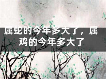 属蛇的今年多大了，属鸡的今年多大了