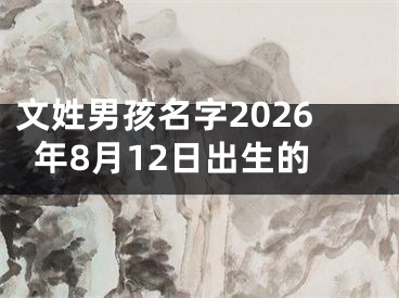 文姓男孩名字2026年8月12日出生的