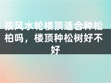 按风水轮楼顶适合种松柏吗，楼顶种松树好不好