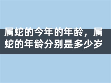 属蛇的今年的年龄，属蛇的年龄分别是多少岁