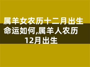 属羊女农历十二月出生命运如何,属羊人农历12月出生
