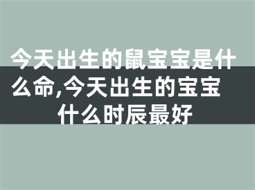 今天出生的鼠宝宝是什么命,今天出生的宝宝什么时辰最好