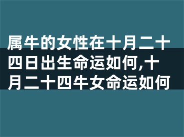属牛的女性在十月二十四日出生命运如何,十月二十四牛女命运如何