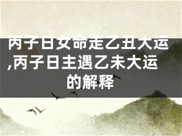 丙子日女命走乙丑大运,丙子日主遇乙未大运的解释