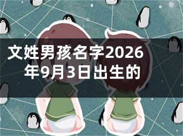 文姓男孩名字2026年9月3日出生的
