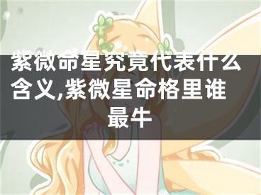 紫微命星究竟代表什么含义,紫微星命格里谁最牛