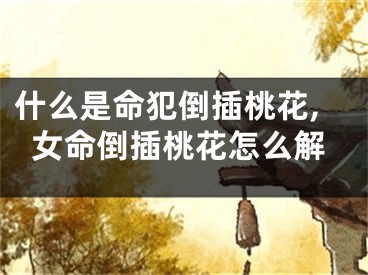 什么是命犯倒插桃花,女命倒插桃花怎么解