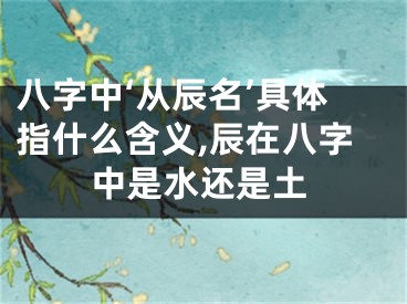 八字中‘从辰名’具体指什么含义,辰在八字中是水还是土