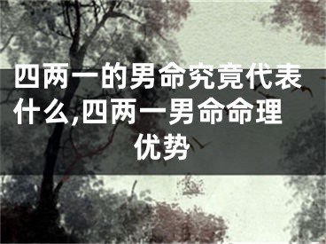 四两一的男命究竟代表什么,四两一男命命理优势
