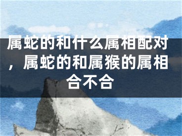 属蛇的和什么属相配对，属蛇的和属猴的属相合不合