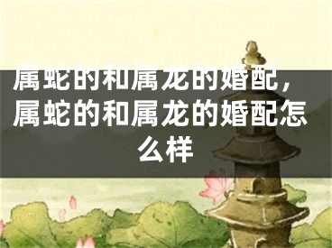 属蛇的和属龙的婚配，属蛇的和属龙的婚配怎么样