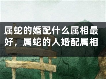 属蛇的婚配什么属相最好，属蛇的人婚配属相