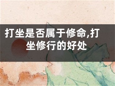 打坐是否属于修命,打坐修行的好处
