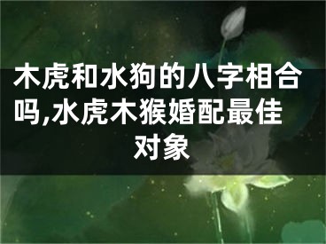 木虎和水狗的八字相合吗,水虎木猴婚配最佳对象
