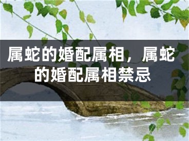 属蛇的婚配属相，属蛇的婚配属相禁忌