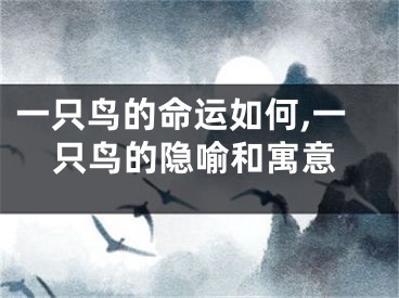 一只鸟的命运如何,一只鸟的隐喻和寓意