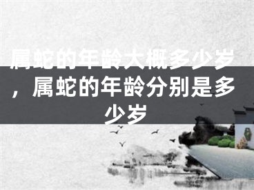属蛇的年龄大概多少岁，属蛇的年龄分别是多少岁