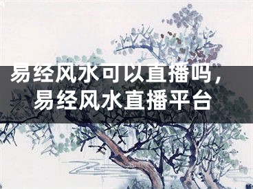 易经风水可以直播吗，易经风水直播平台
