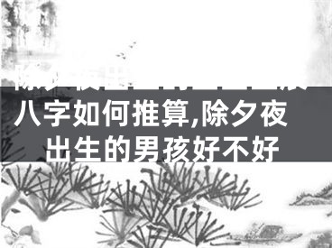 除夕夜出生的宝宝生辰八字如何推算,除夕夜出生的男孩好不好