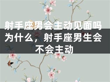 射手座男会主动见面吗为什么，射手座男生会不会主动