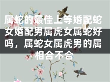 属蛇的最佳上等婚配蛇女婚配男属虎女属蛇好吗，属蛇女属虎男的属相合不合