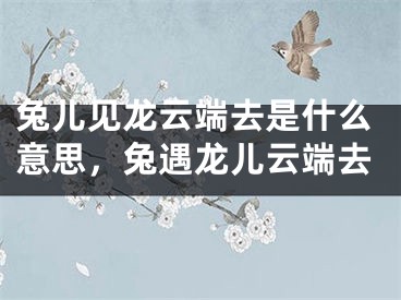 兔儿见龙云端去是什么意思，兔遇龙儿云端去