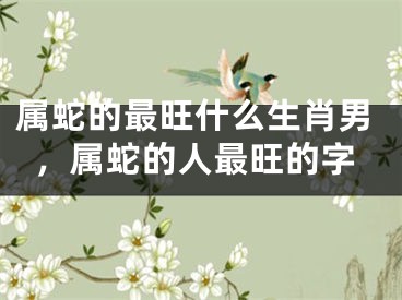 属蛇的最旺什么生肖男，属蛇的人最旺的字